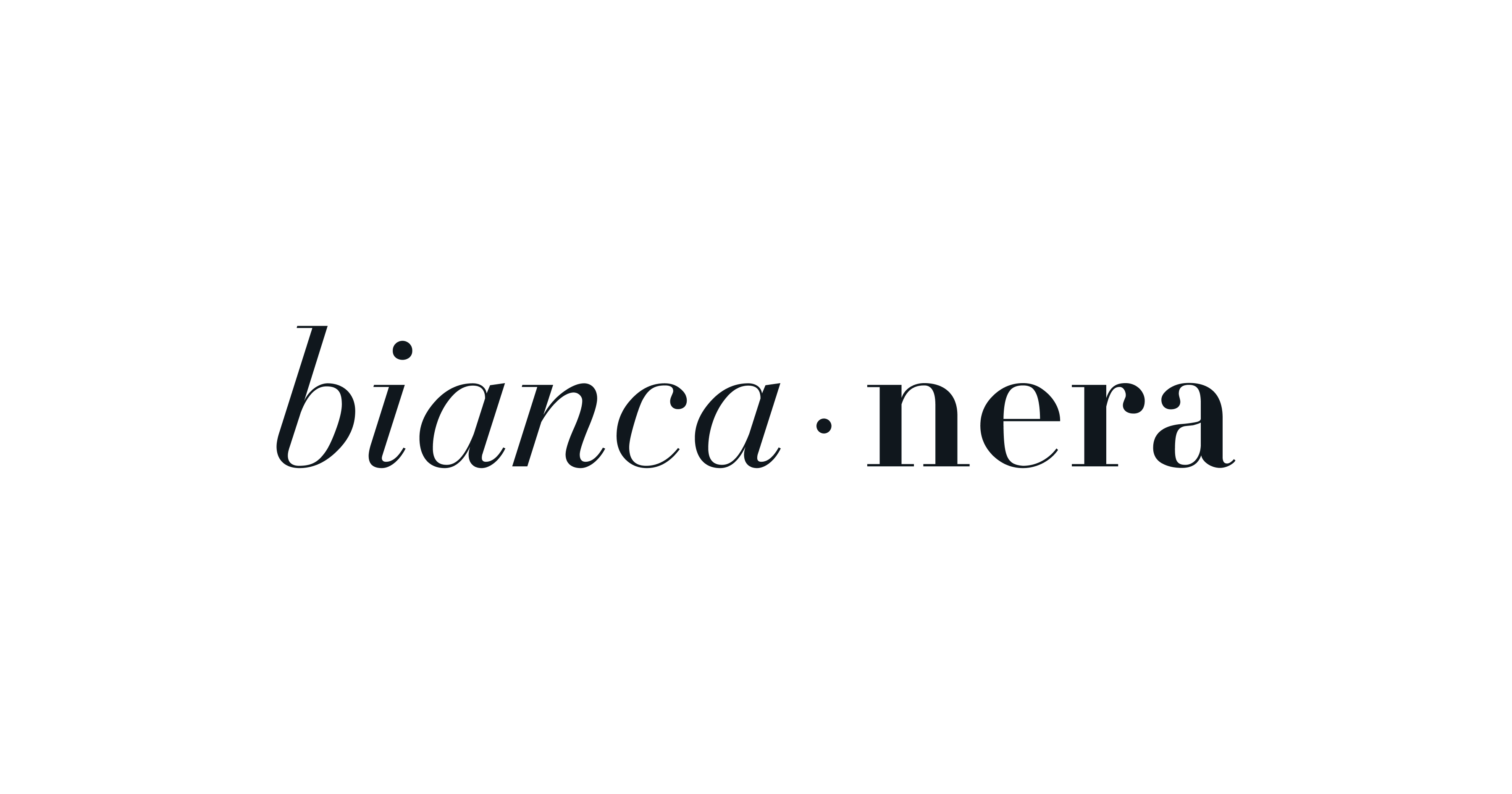 BIANCA NERA GRUP DIŞ TİC. LTD. ŞTİ. logo